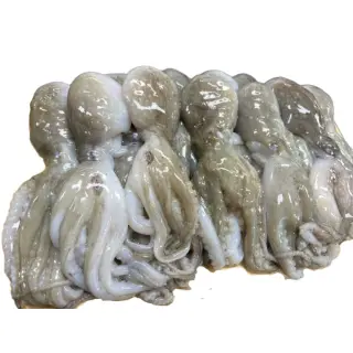 대왕사이즈 선동 활 주꾸미/쭈꾸미 1kg  7-10미내외, 암수랜덤, 냉동주꾸미