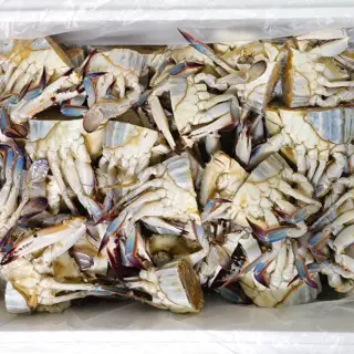 국내산 연평도 절단 꽃게 냉동 암꽃게 업소용 대용량 8kg, 1박스, 8kg