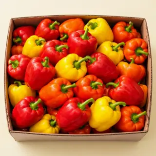 못난이 파프리카 혼합, 국내산, 1kg, 1박스