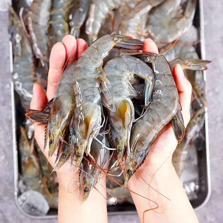 [03821] 국내산 생물 흰다리새우, 500g, 20미 내외, 1개