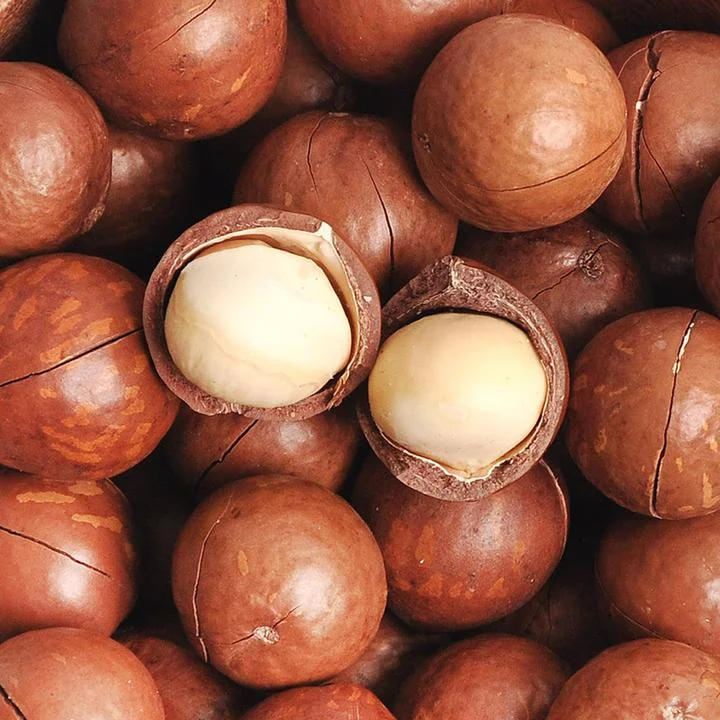[04101] 까먹는 통 마카다미아, 250g, 1개