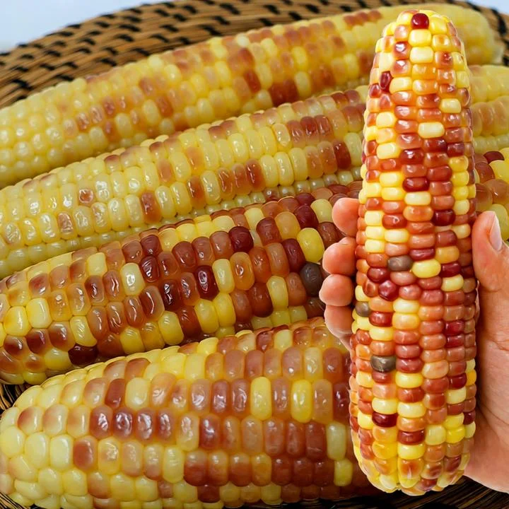 [05132] 식탐 진공포장 찐옥수수, 200g, 10개