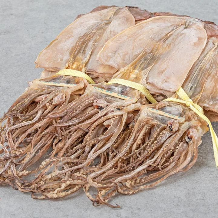 [05212] 남부건어물 마른오징어, 특대, 850g, 10마리, 1팩