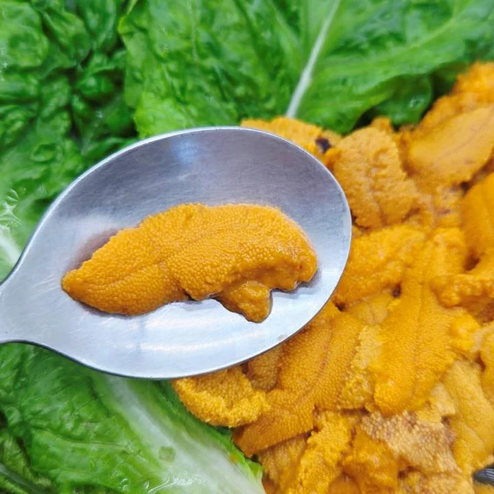 [05467] 동해안 포항 해녀 당일채취 보라성게알 우니 용기포장, 2개