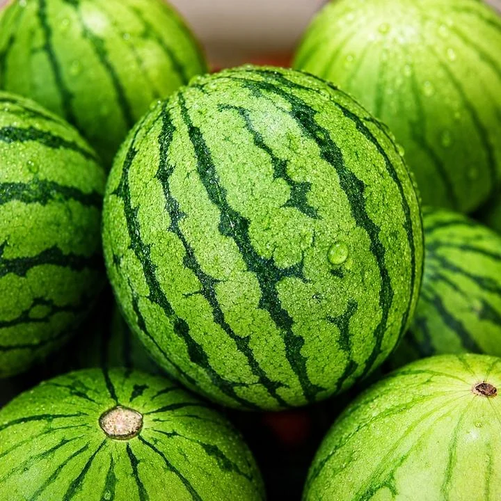 [05702] 함안 애플수박, 700g, 4개