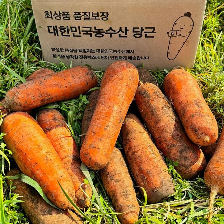 [07916] 대한민국농수산 국내산 햇당근, 중, 3kg, 1개