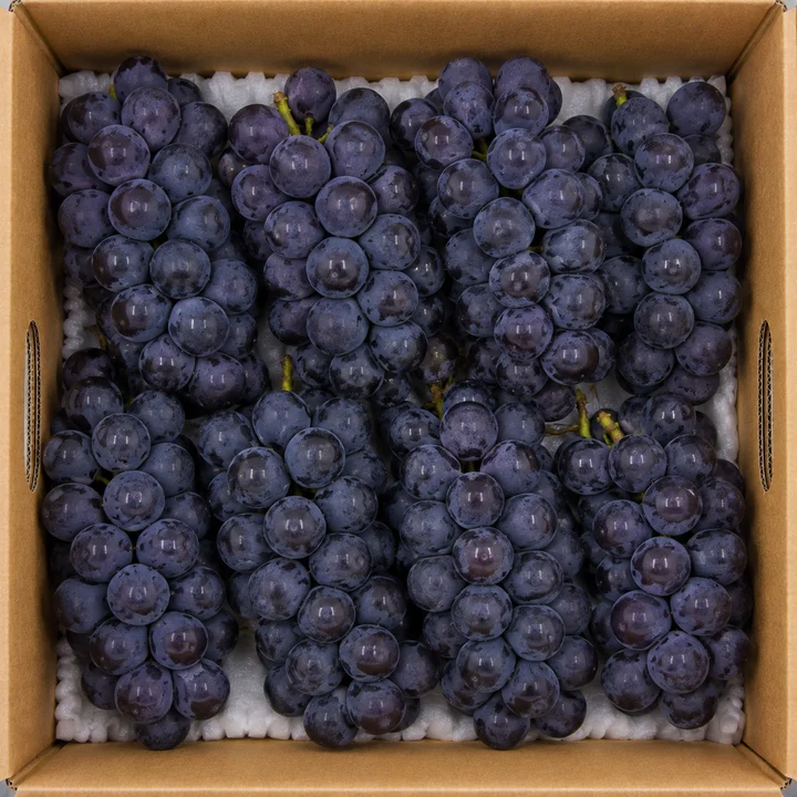 [08545] 원물곳간 국내산 씨없는 햇거봉, 1kg, 1박스