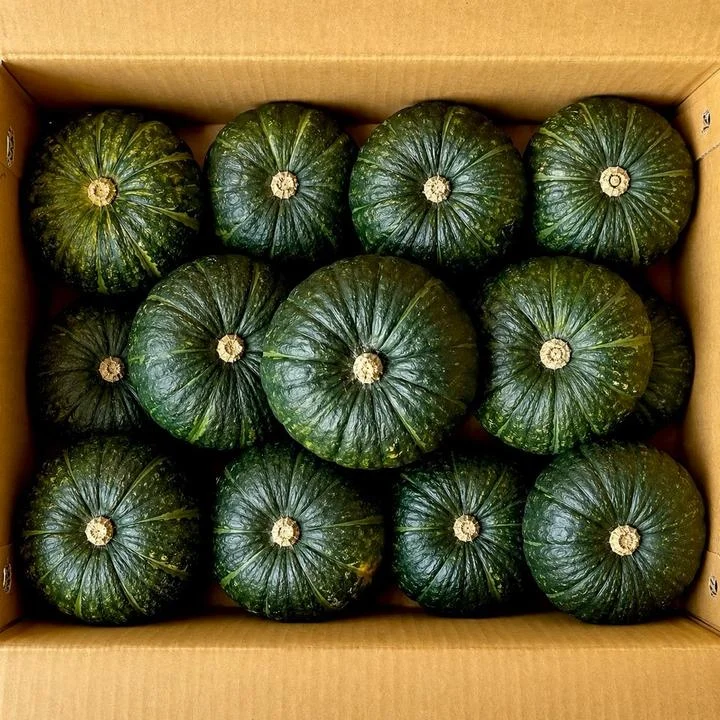 [08589] 미니 단호박 보우짱, 로얄과, 5kg, 1박스