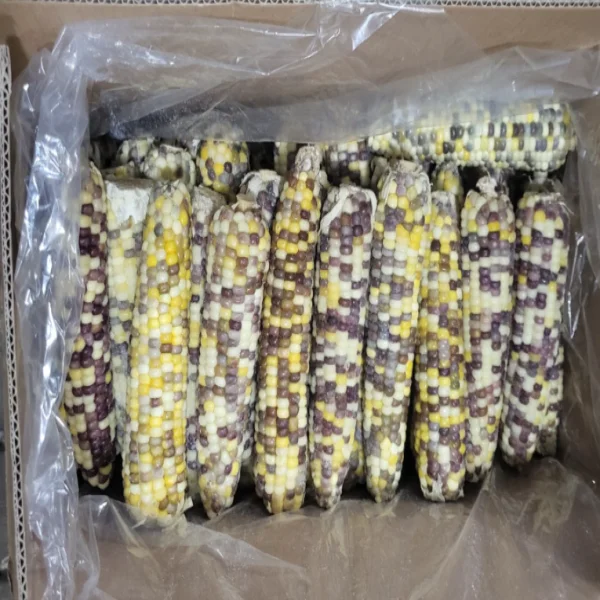 [08964] 얼룩이 옥수수, 14kg, 70개