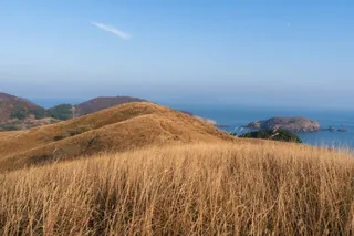 굴업도