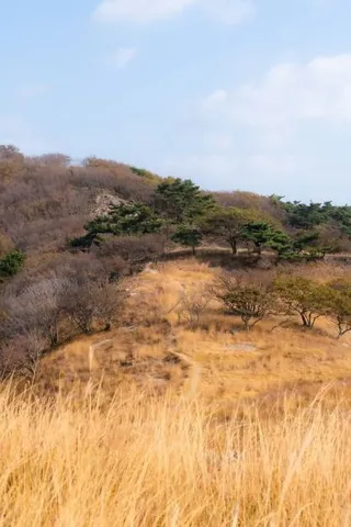 굴업도