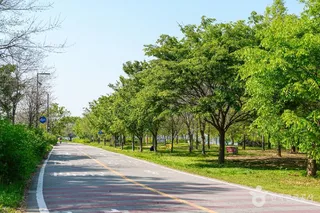 여의도한강공원