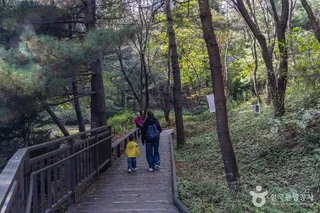 봉화산(서울)