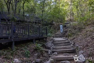 봉화산(서울)