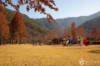 상소동 산림욕장