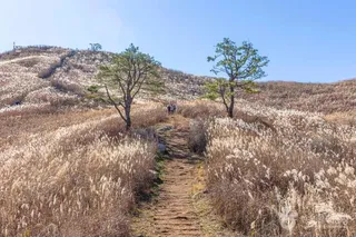 민둥산