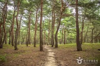 송정해변