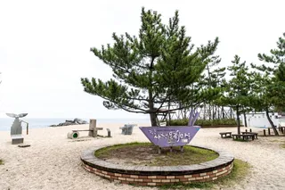 사천해변(사천해수욕장)
