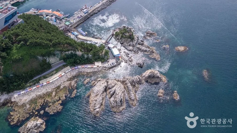 장호해변·장호항