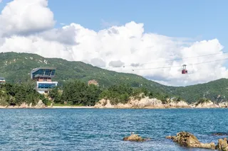 장호해변·장호항