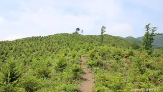 양구 펀치볼마을 (펀치볼)