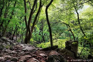 계룡산국립공원