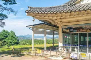 충주 탄금대
