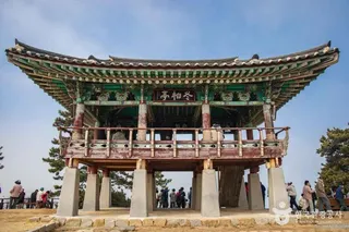 서천 마량리 동백나무 숲