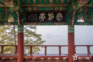 서천 마량리 동백나무 숲
