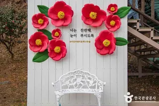 서천 마량리 동백나무 숲