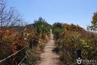 고헌산(울산)