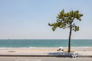 송정해수욕장