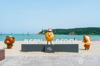 일산해수욕장(울산)