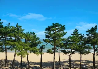 진하해수욕장