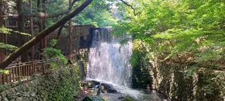 부산 어린이대공원