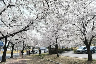 동촌유원지
