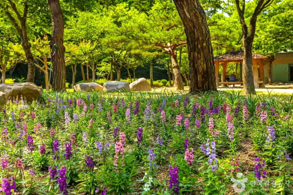 대구앞산공원