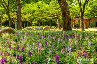 대구앞산공원