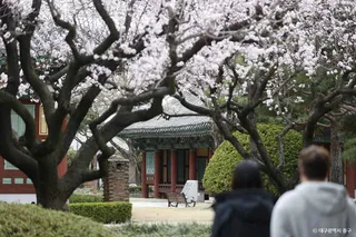 경상감영공원