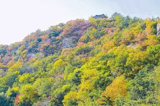 유달산
