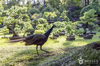 한림공원