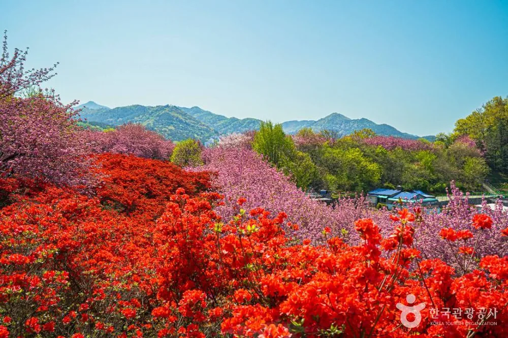 완산공원