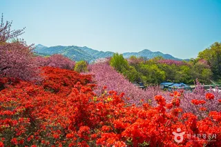 완산공원