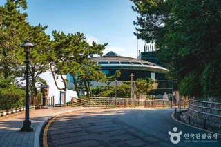 태종대