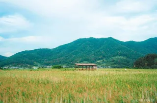순천만습지