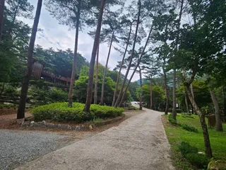 국립검마산자연휴양림