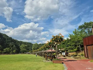 뿌리공원