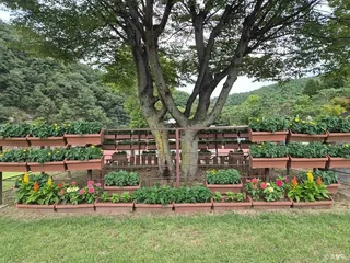 뿌리공원