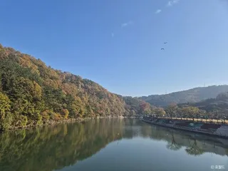 뿌리공원