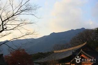 영축산